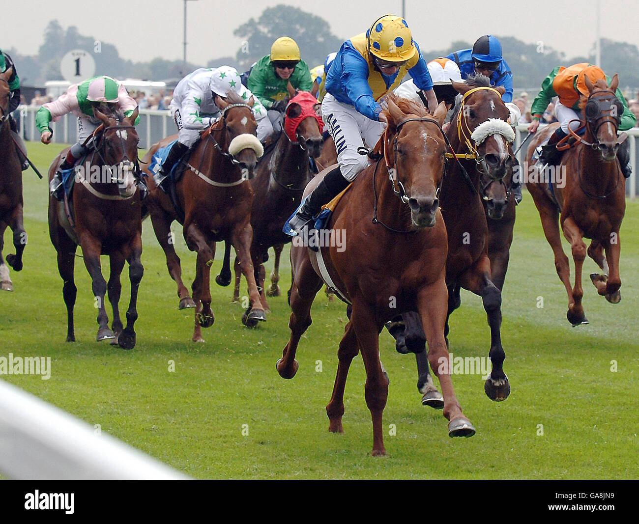 Horse Racing - Ebor Festival - Juddmonte International Day - York Racecourse Stock Photo