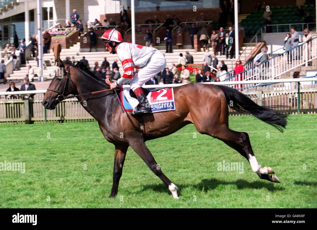 Horse Racing - Newmarket Races Stock Photo