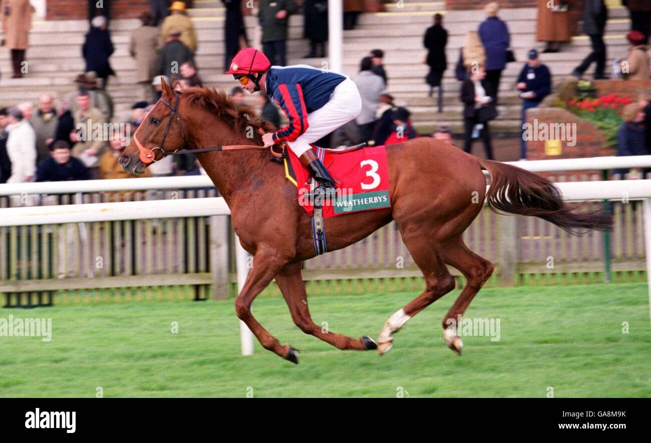 Horse Racing Newmarket Races Stock Photo Alamy