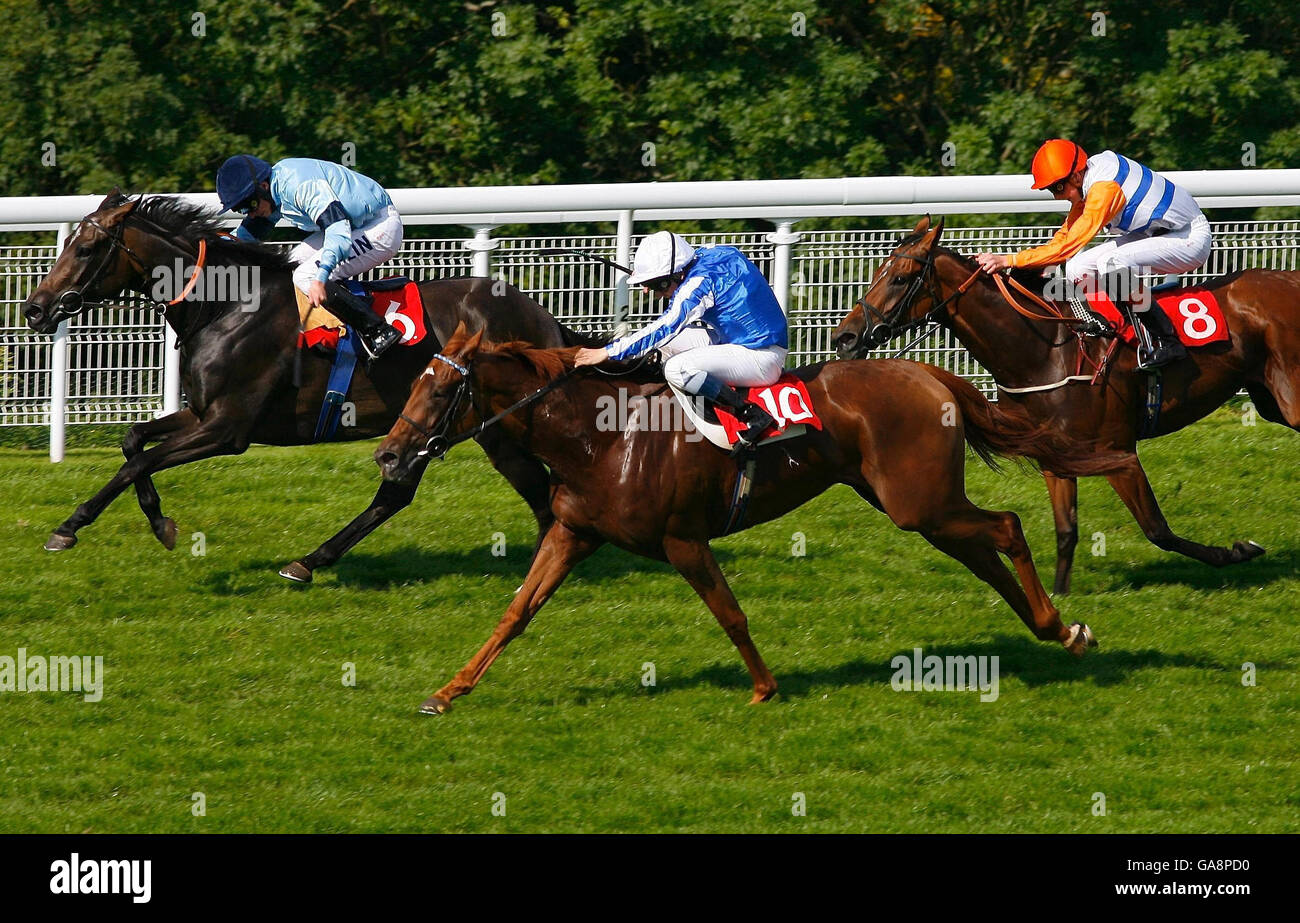 Goodwood Horse Racing High Resolution Stock Photography And Images Alamy