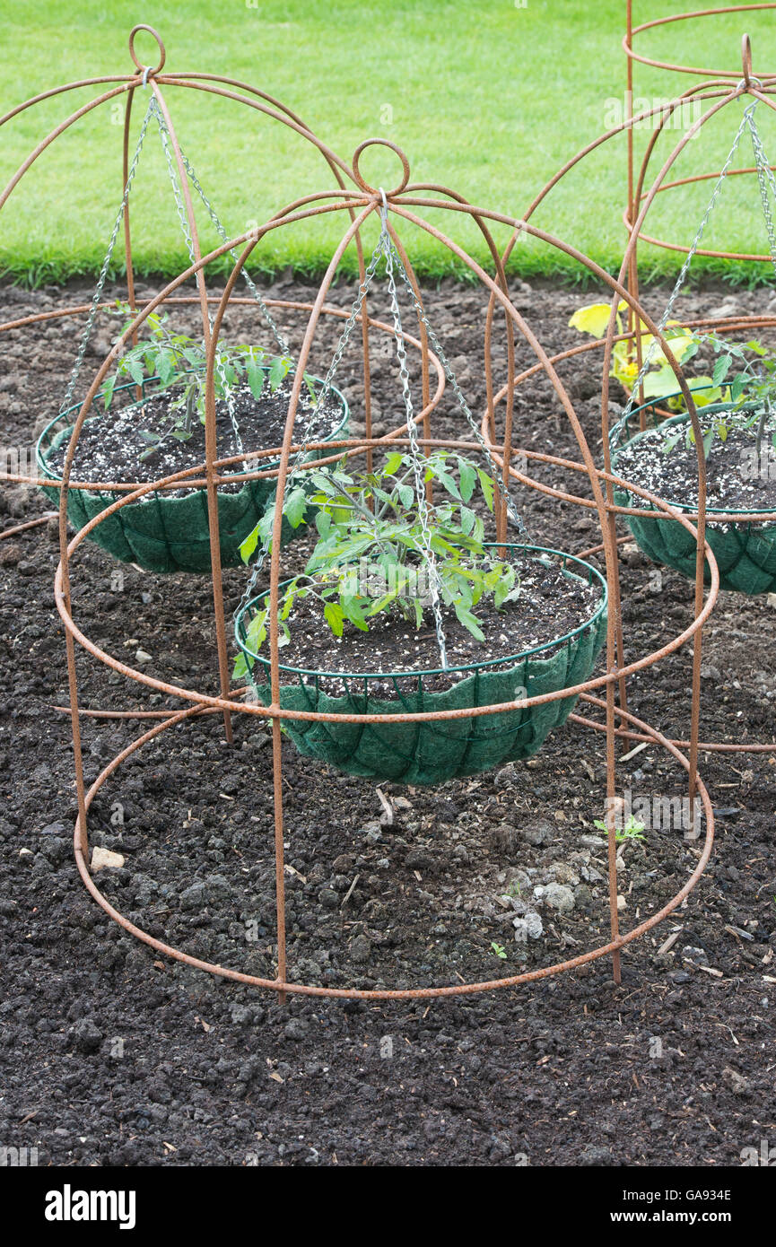 Hanging baskets hires stock photography and images Alamy