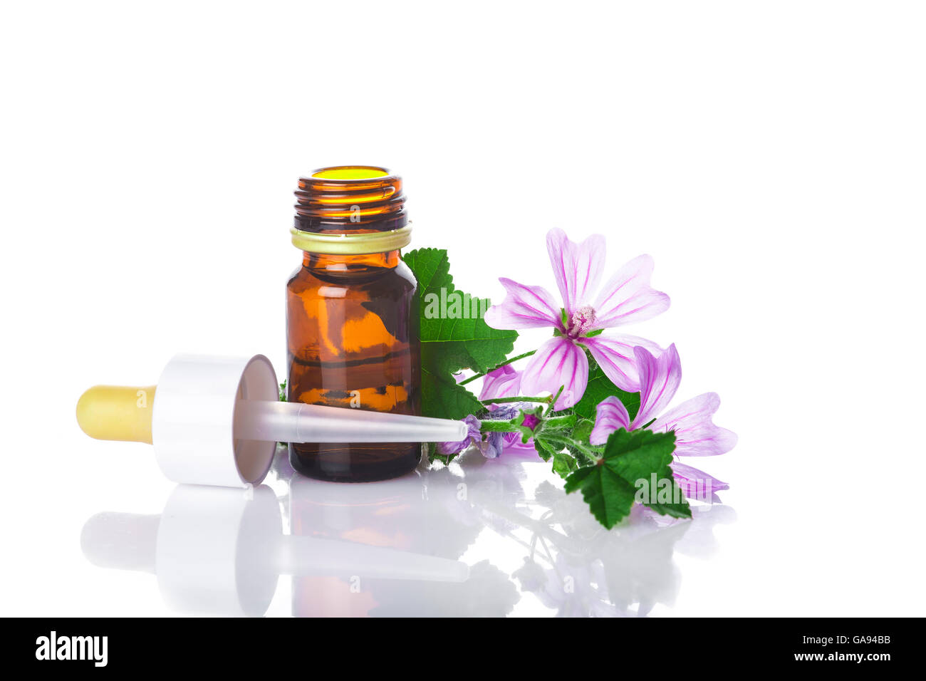 Dropper bottle with mallow malva extract or essential oil isolated on a white background Stock Photo