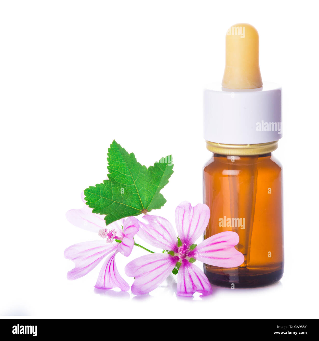 Dropper bottle with mallow malva extract or essential oil isolated on a white background Stock Photo