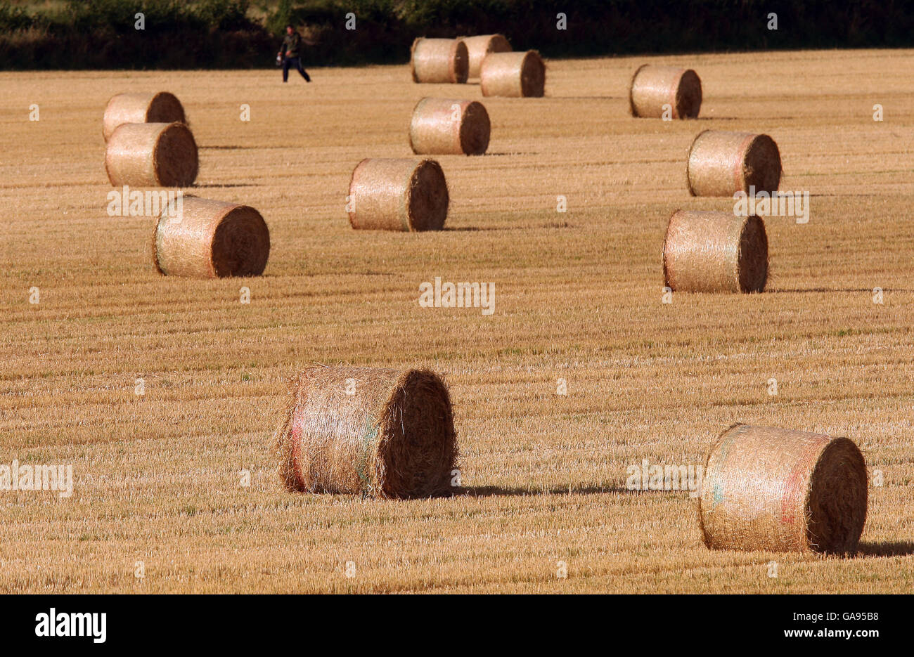 Scottish Borders Feature. Farm land on the Scottish Borders Stock Photo