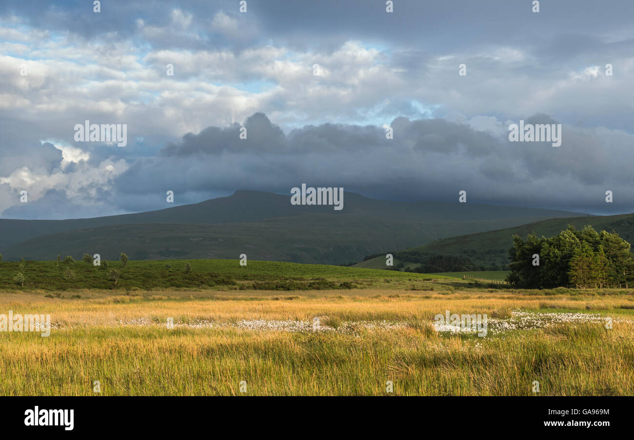 Looking from Mynydd Illtyd Common across to Pen y Fan and Corn Du in