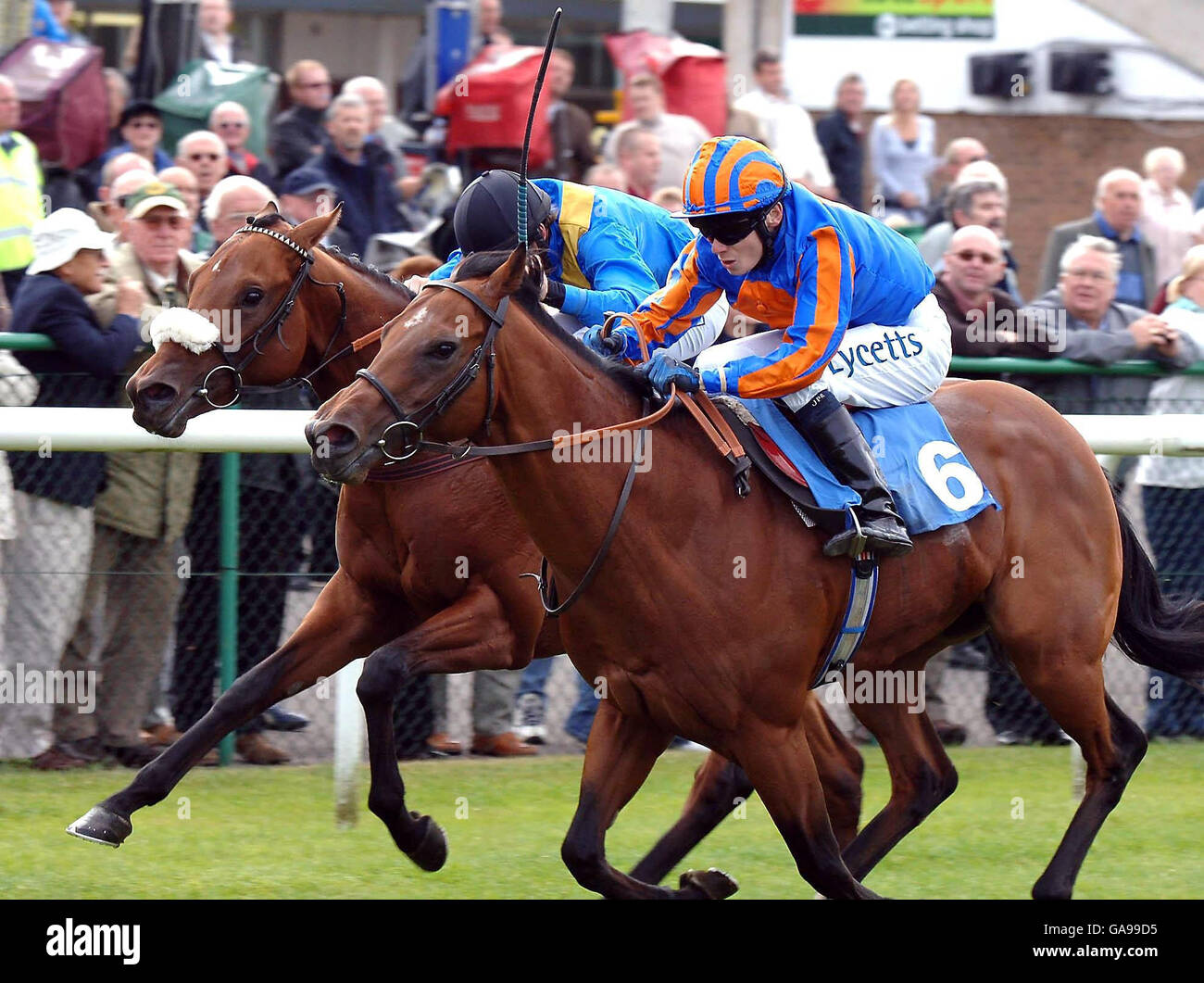 8++ Horse racing results today thirsk best pedictions