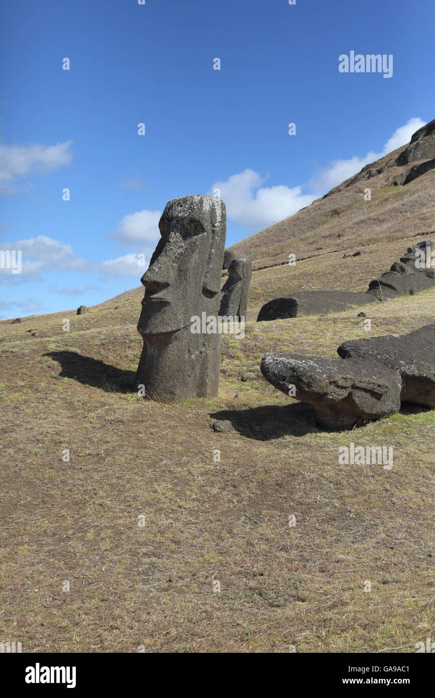 stone heads at the ancient carving site of rano raraku on easter island