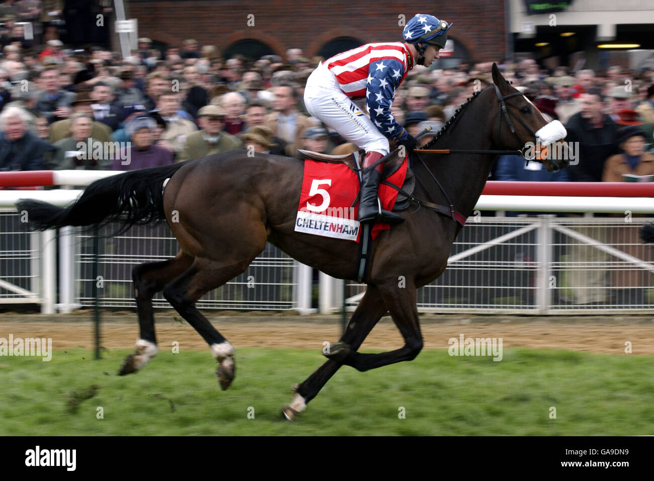 Flagship Uberalles riden by Richard Johnson runs to post in the Queen Mother Champion Steeplechase Stock Photo