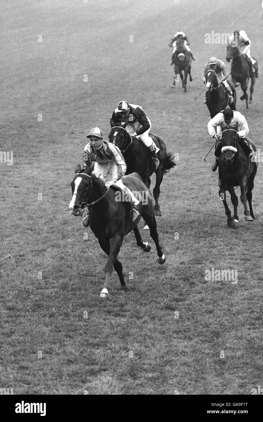 Left to right, Never Say Die, with Lester Piggott up, comes home to win The Derby from Adrian Night and Darius Stock Photo
