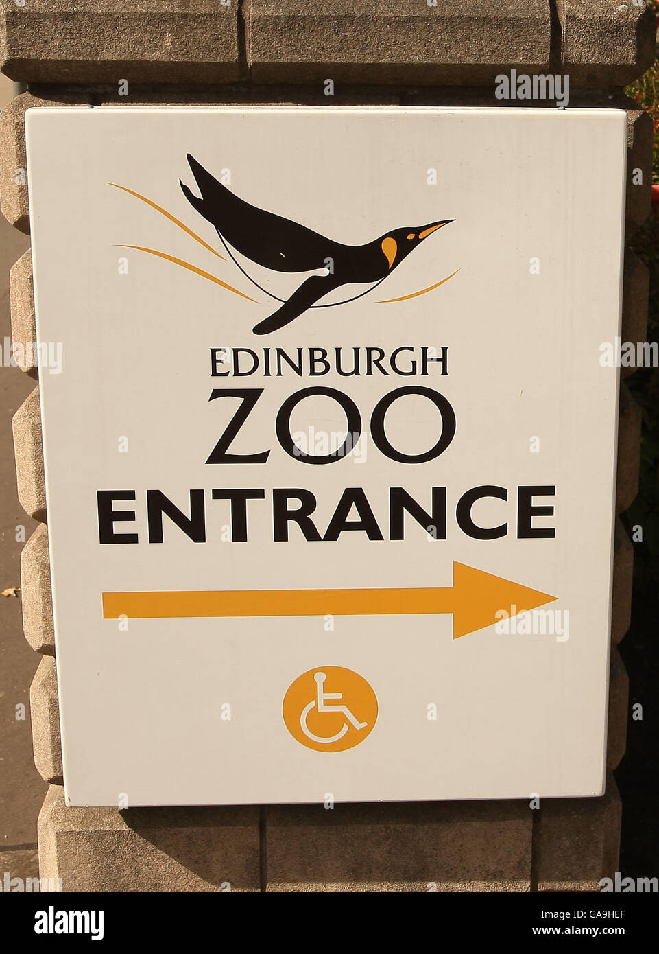Edinburgh Zoo Feature Stock Photo Alamy