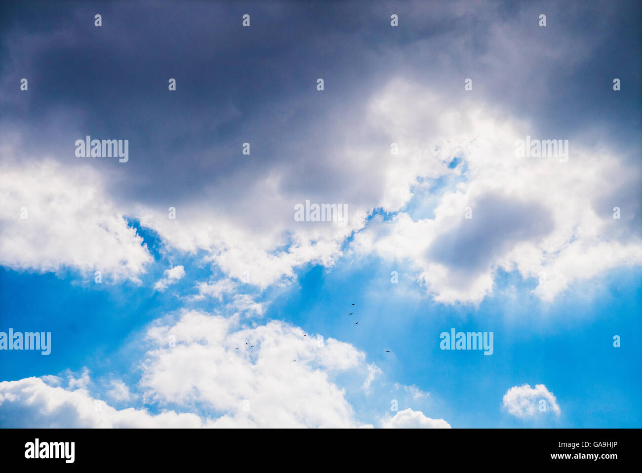 Sun shining birds flying over heavenly blue sky Stock Photo