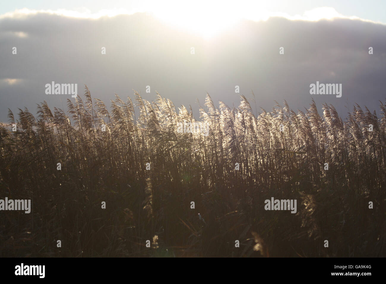 Sunlight shines through a cloud hi-res stock photography and images - Alamy