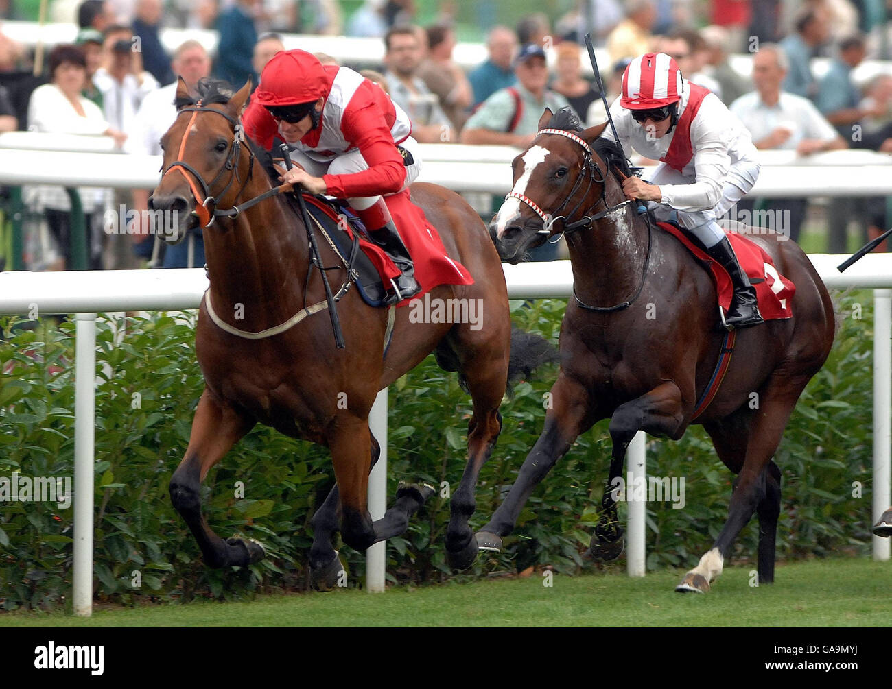 Horse racing st leger meeting doncaster hi-res stock photography and ...