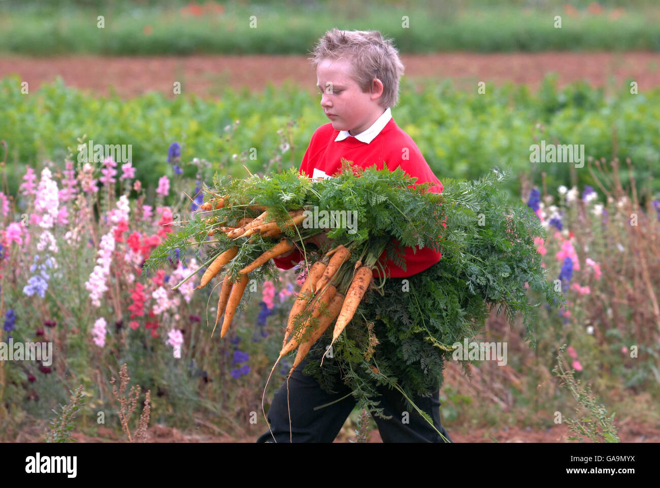 Prince of Wales in Gloucestershire Stock Photo Alamy