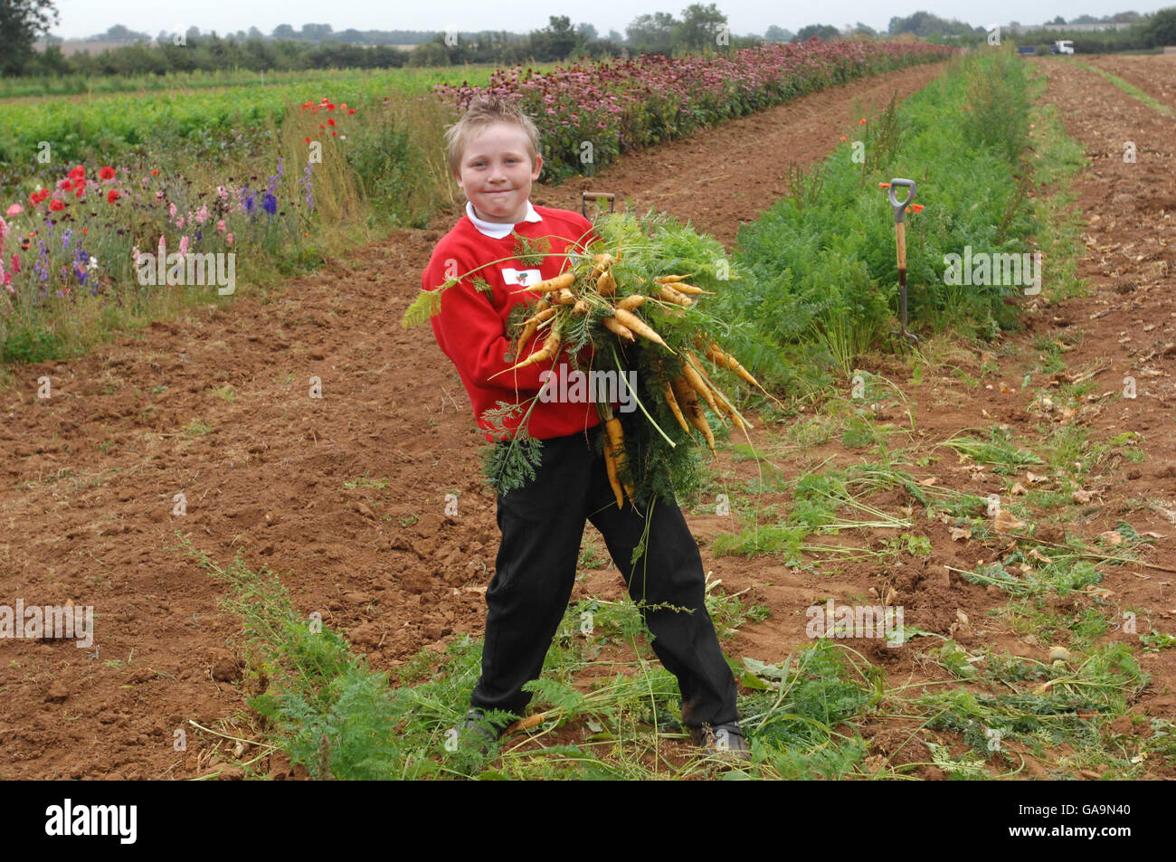 Prince of Wales in Gloucestershire Stock Photo Alamy