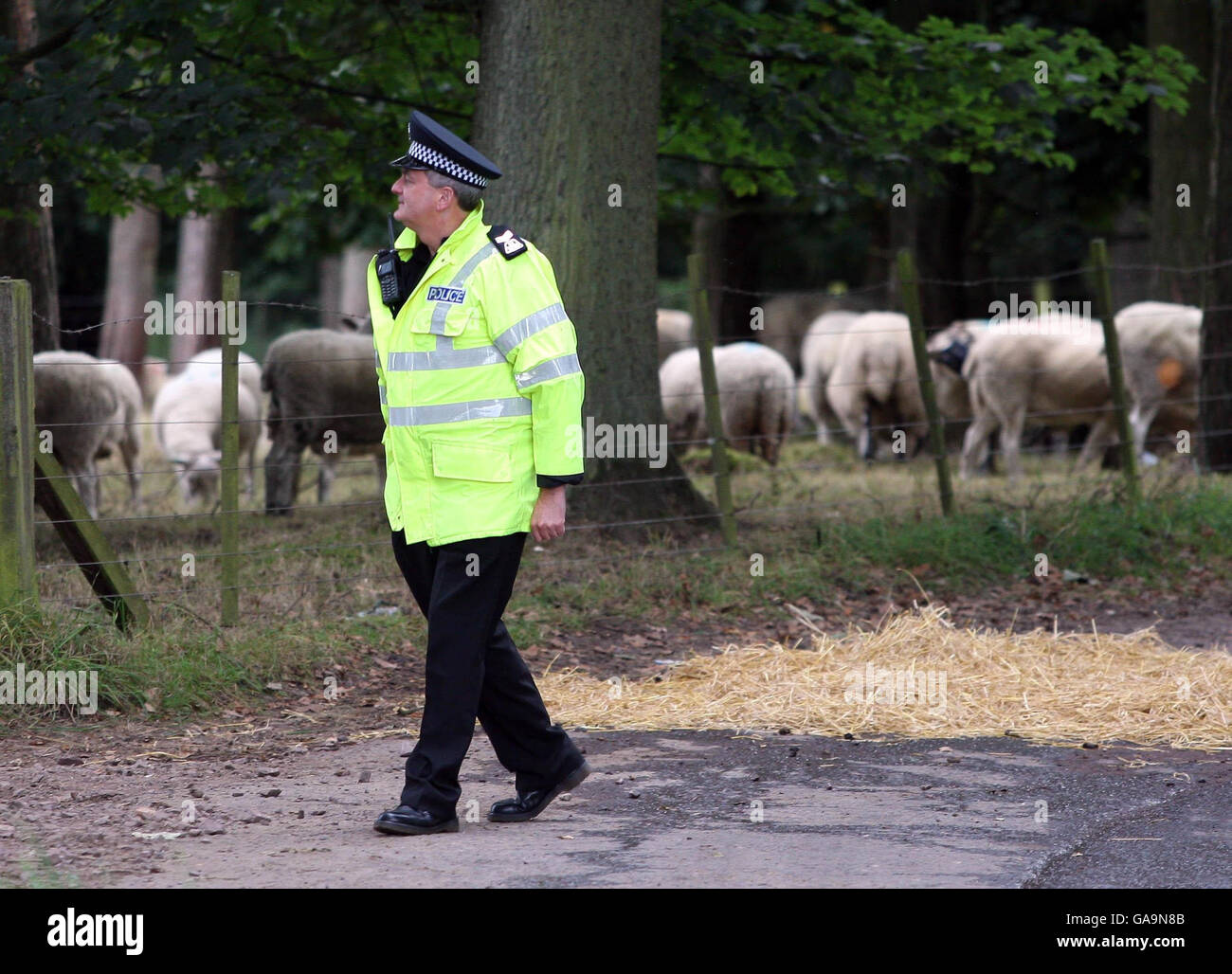 A police officer lanark auction market in lanark hires stock