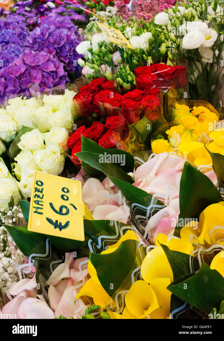 Cut flowers for sale at Venice's Rialto Market Stock Photo Alamy