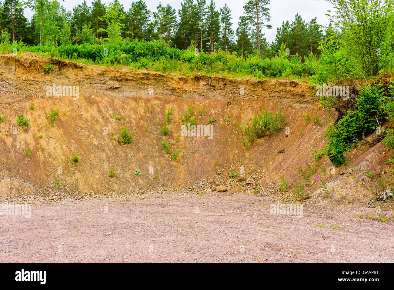 Wall of eroding soil in a gravel pit or quarry in nature. Soil is slightly damp after a short rainfall. Stock Photo
