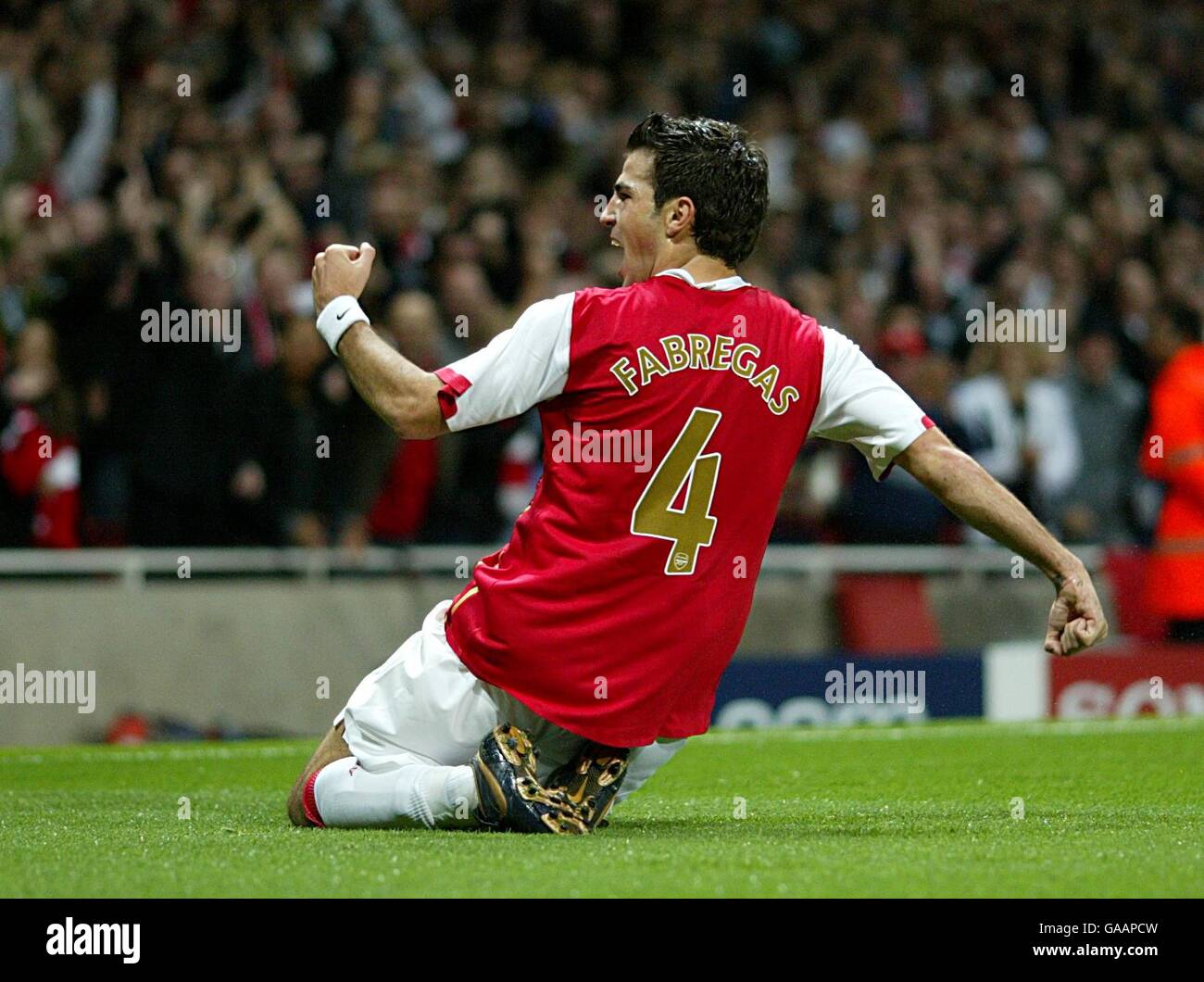 Arsenal's Francesc Fabregas celebrates scoring the opening