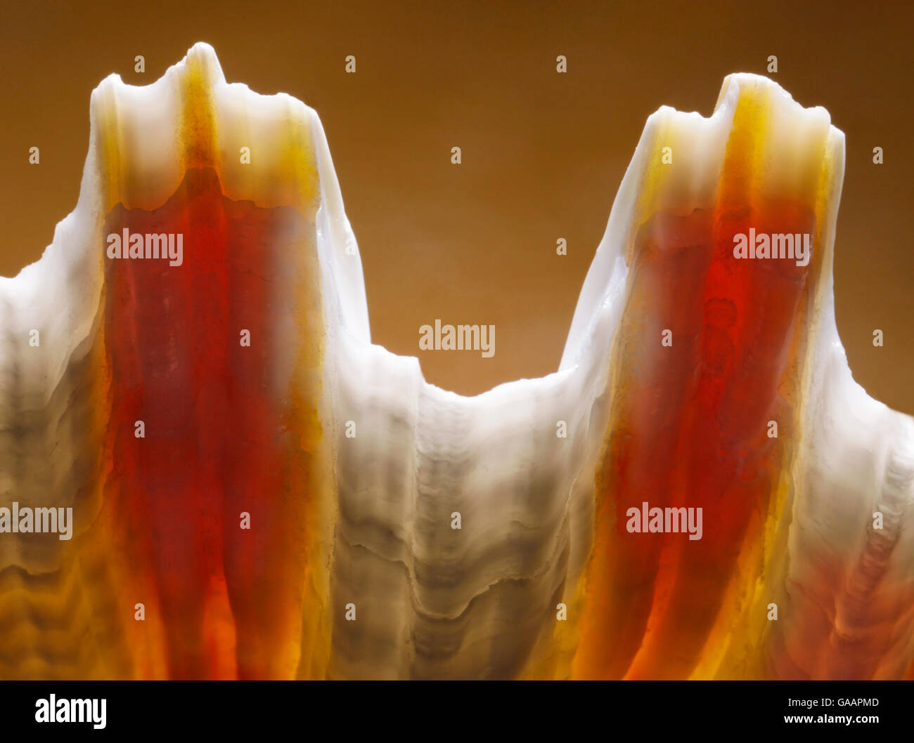 Shell uk hi-res stock photography and images - Alamy
