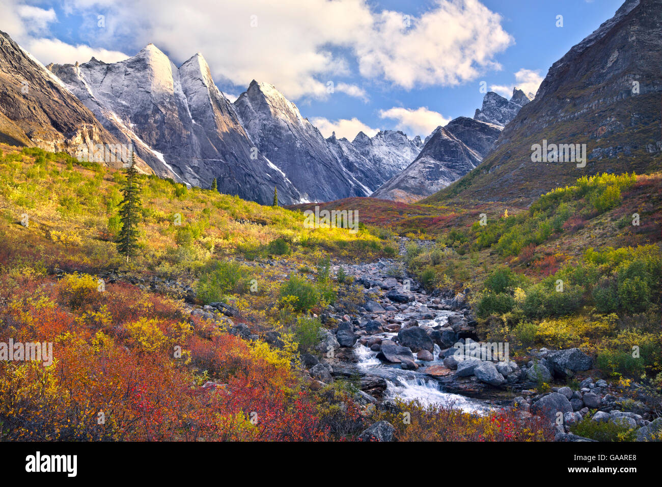Autumnal landscape with snow, Arrigetch Peaks region of Brooks Range, Gates of the Arctic National Park, Alaska, USA, August 2014. Stock Photo