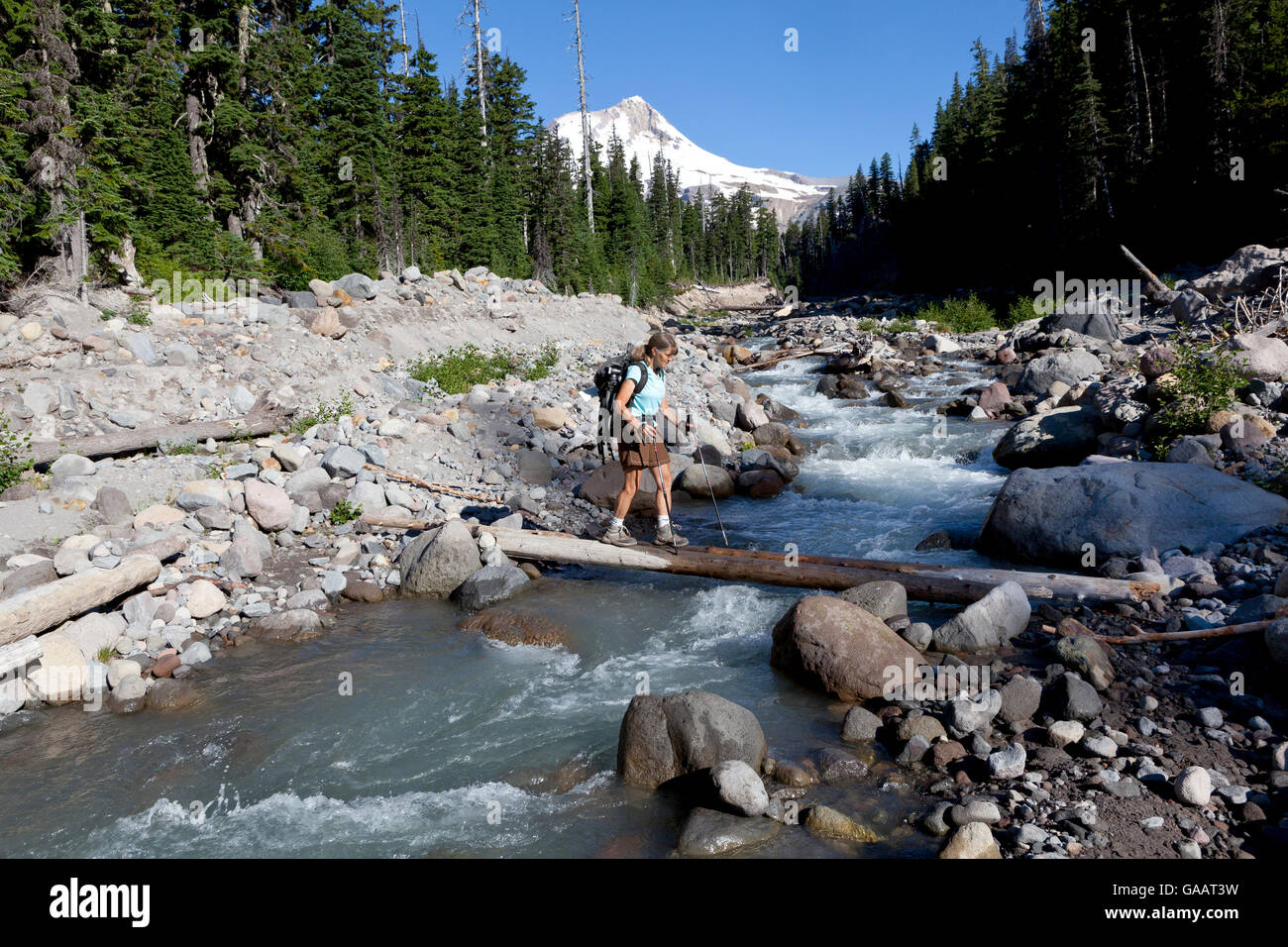 Hiker crossing  Newton Creek, Elk Meadows Trail, Mount Hood Wilderness.  Oregon, USA, July 2014.  Model released. Stock Photo