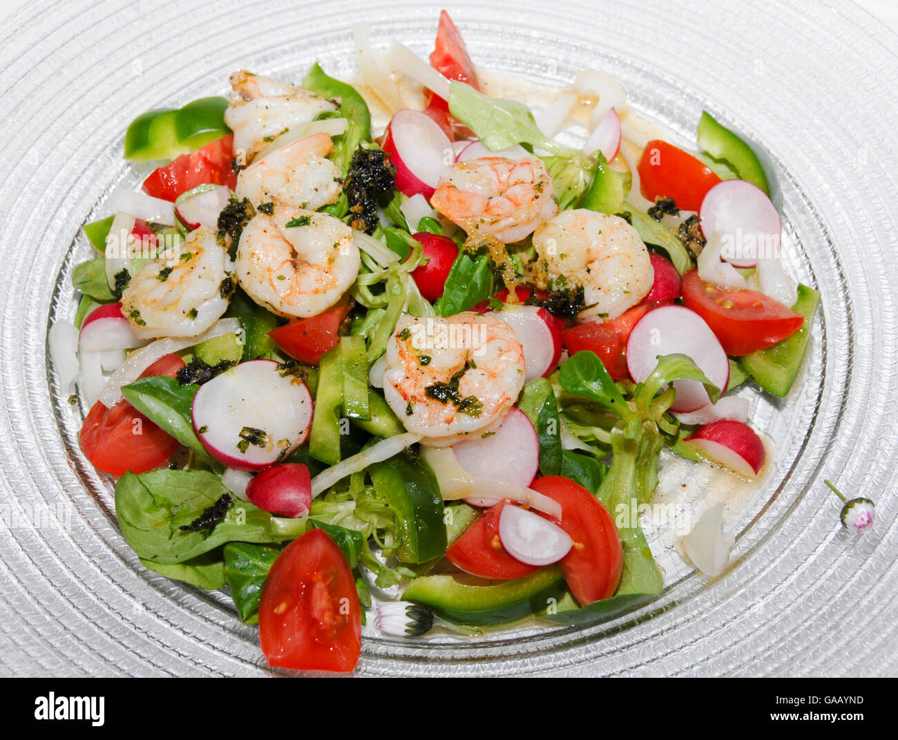 Salad with field salad, radish, pepper and shrimps Stock Photo