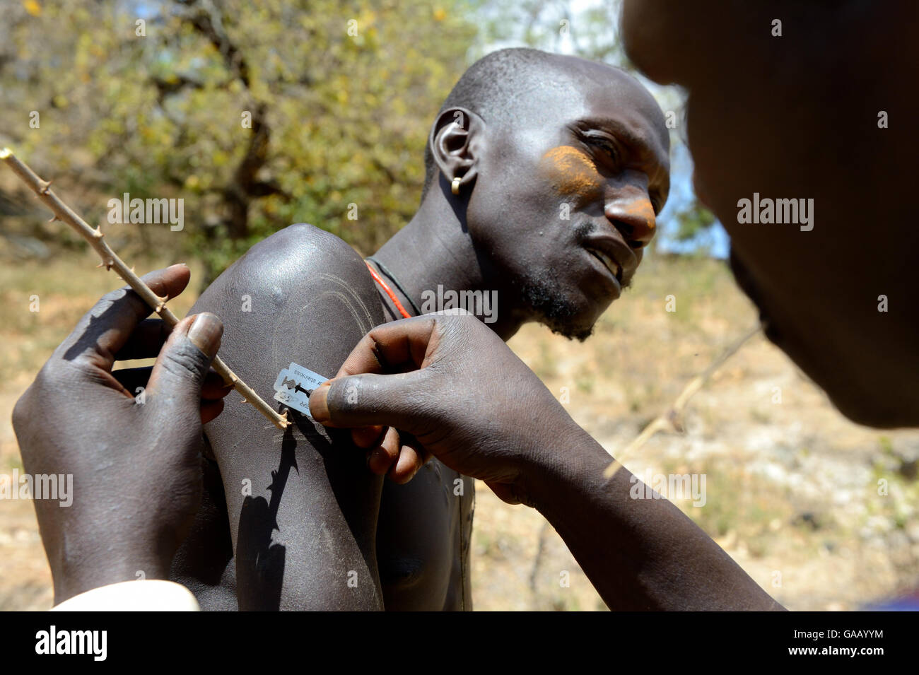 Men from the Mursi tribe decoratively scaring skin, one man scars the arm of another one by lifting the skin with an acacia spine and cutting it with a razor blade, Ethiopia, March 2015. Stock Photo