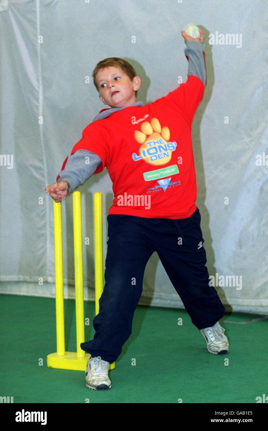 Children play cricket in the npower lions den hires stock photography