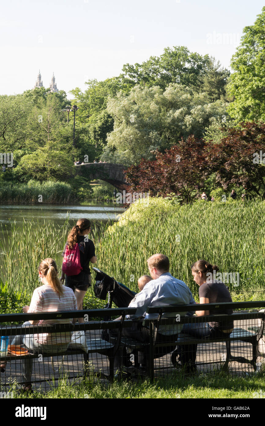 People Enjoying the Lawn near Central Park's Pond, NYC, USA Stock Photo