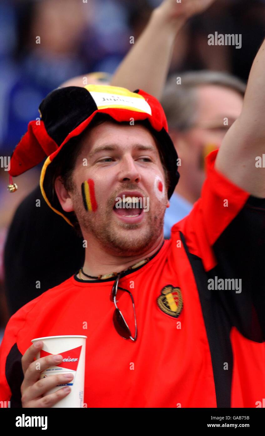 Soccer - FIFA World Cup 2002 - Group H - Japan v Belgium. A Belgium fan cheers on his team Stock Photo