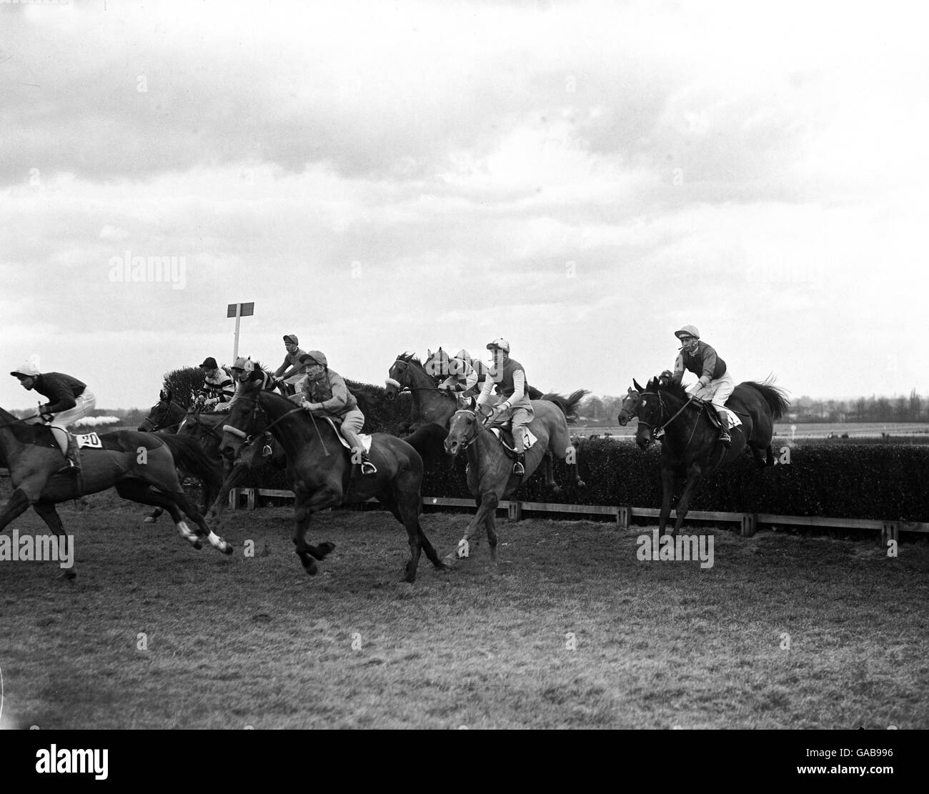 Action from the Stones Ginger Wine Handicap Steeplechase, featuring Dunkirk (r), W Rees up, and Man of the East (second r), J Morrissey up Stock Photo
