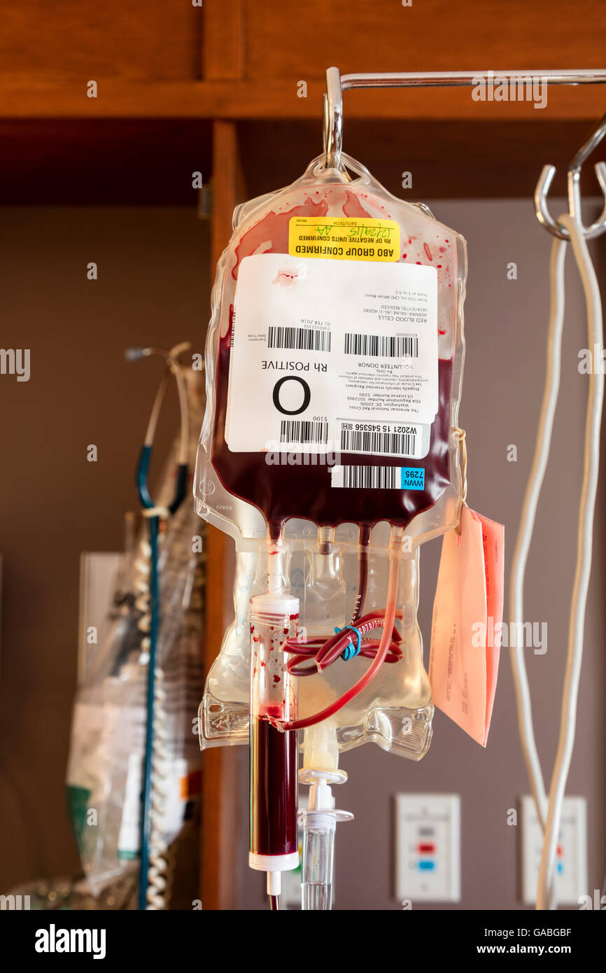 Blood transfusion bag hires stock photography and images Alamy