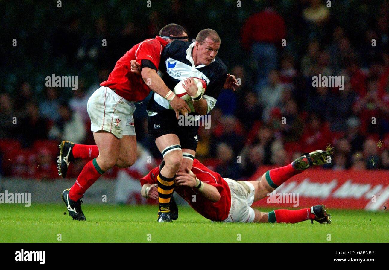 Rugby Union Friendly Wales v Barbarians Stock Photo Alamy