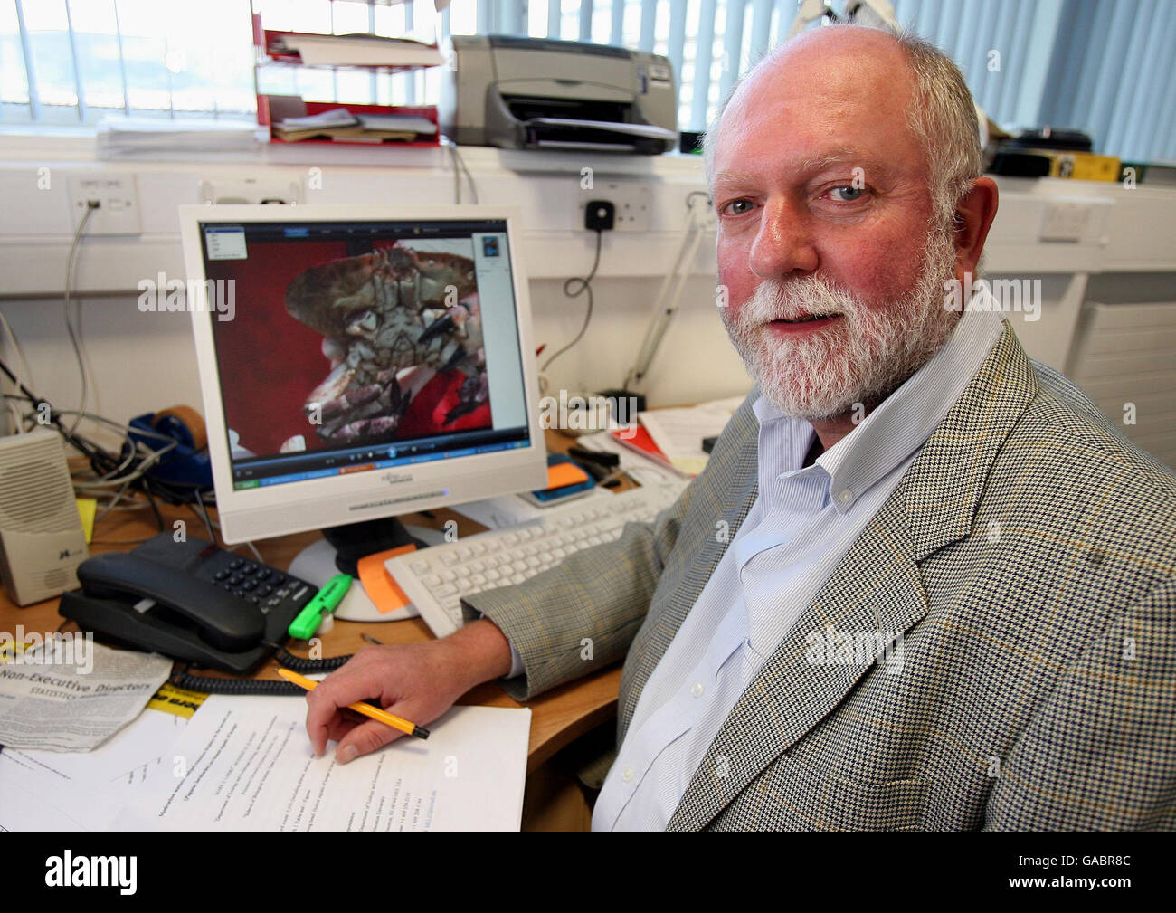 Portrait of Professor Bob Ellwood in his Belfast office, who has claimed that crabs are being starved to death by fishermen ripping off their claws before tossing them back into the sea. Stock Photo