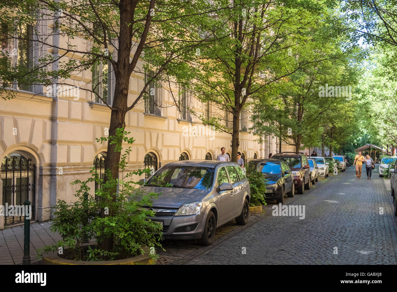 Leafy tree lined street in District 8, Budapest, Hungary Stock Photo