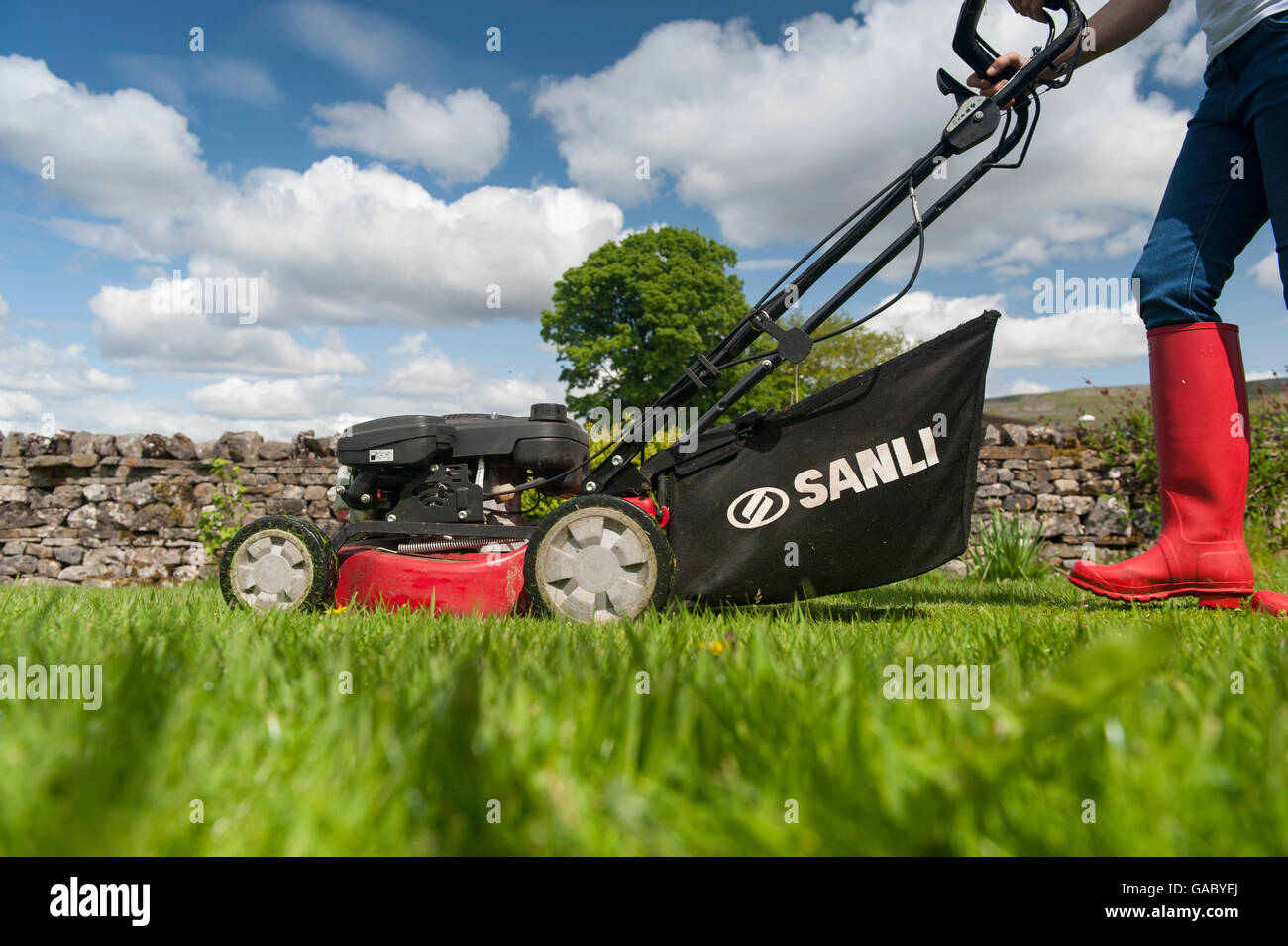 Lady mowing garden lawn with petrol powered mower. Hawes, North Yorkshire, UK. Stock Photo