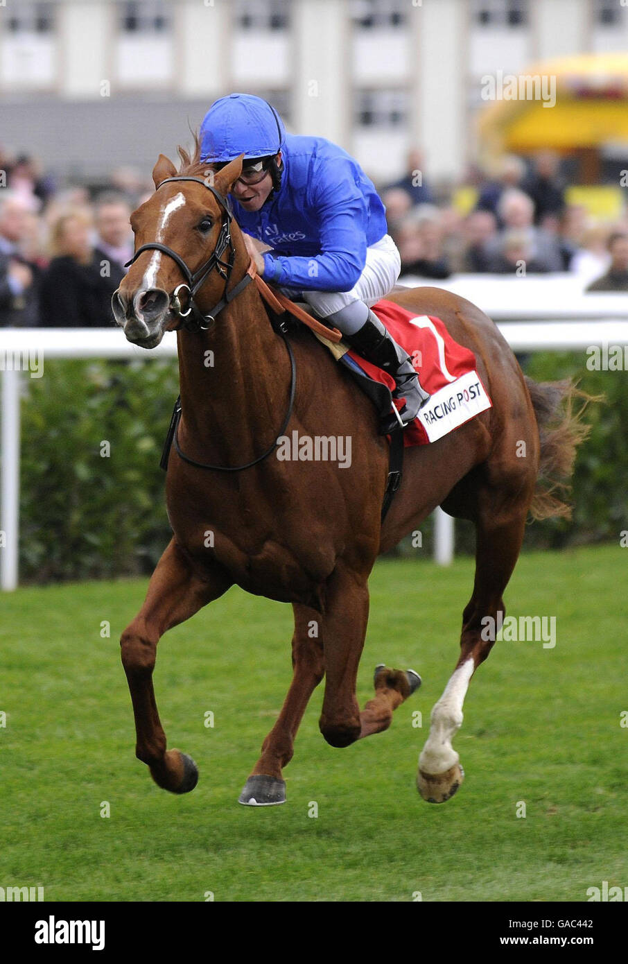 Horse Racing Racing Post Trophy Meeting Doncaster Racecourse Stock