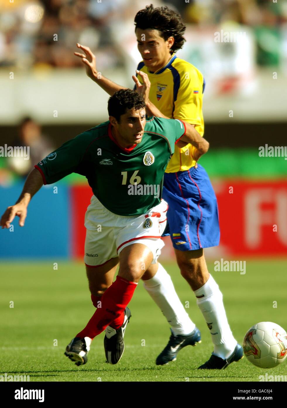 Superstars of the World Cup : TIM HILL: Amazon.co.uk: Books