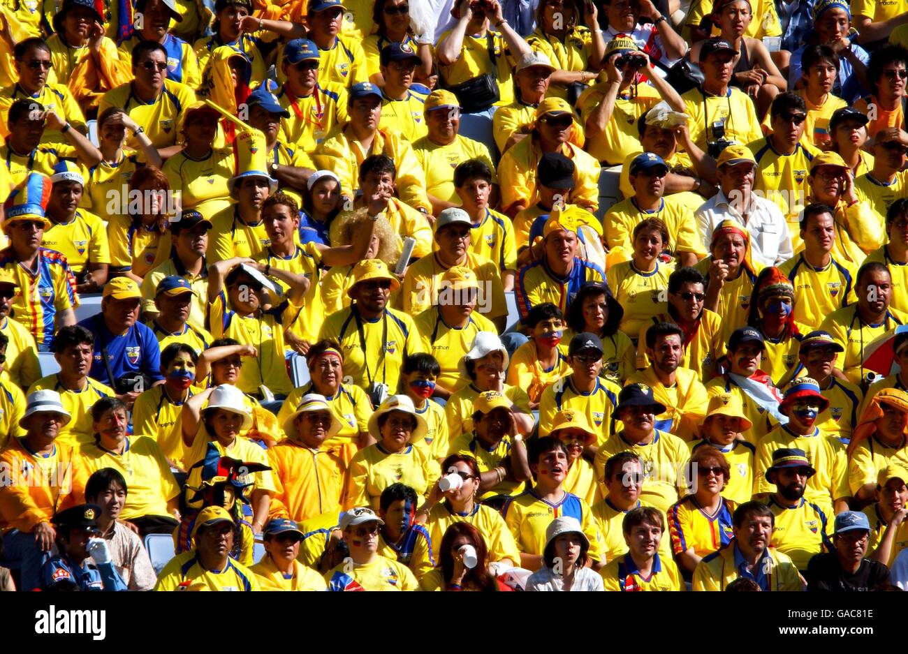 Ecuador fans watch their team in action against Mexico Stock Photo