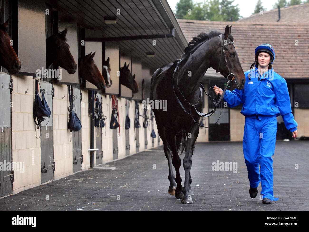 Stable girl Becky Turner walks Black Jack Ketchum during a visit to