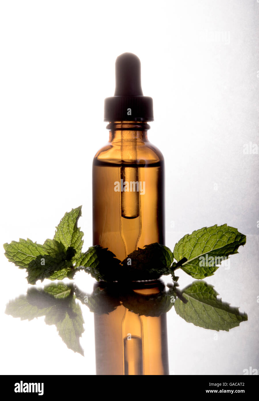 mint leaf with brown bottle Stock Photo