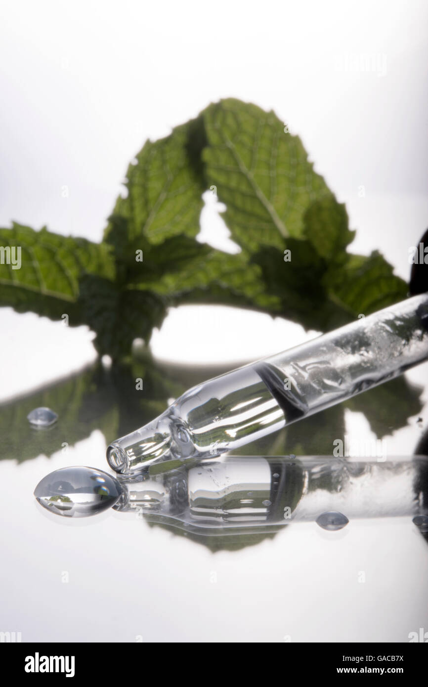 mint leaf and water droplet with pipette Stock Photo