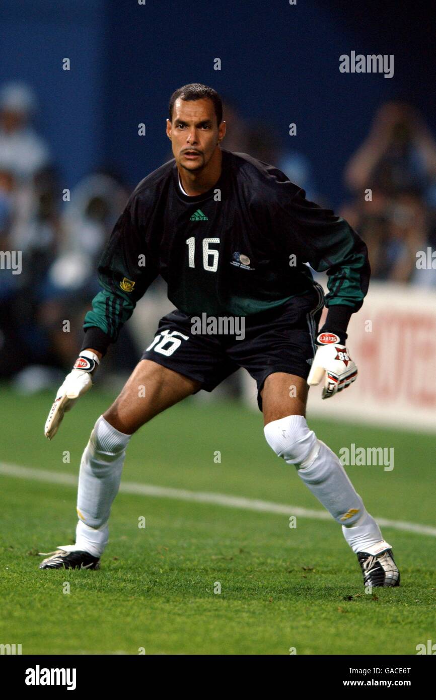 Soccer -FIFA World Cup 2002 - Group B - South Africa V Spain Stock ...