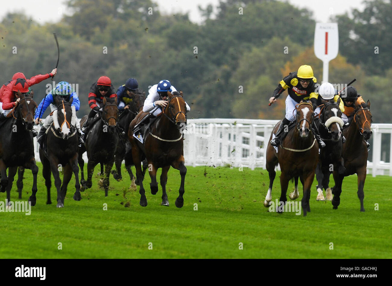 Captain Gerrard ridden by Tom Eaves (yellow cap) leads inside the final furlong to win The Willmott Dixon Cornwallis Stakes at Ascot Racecourse, Berkshire. Stock Photo