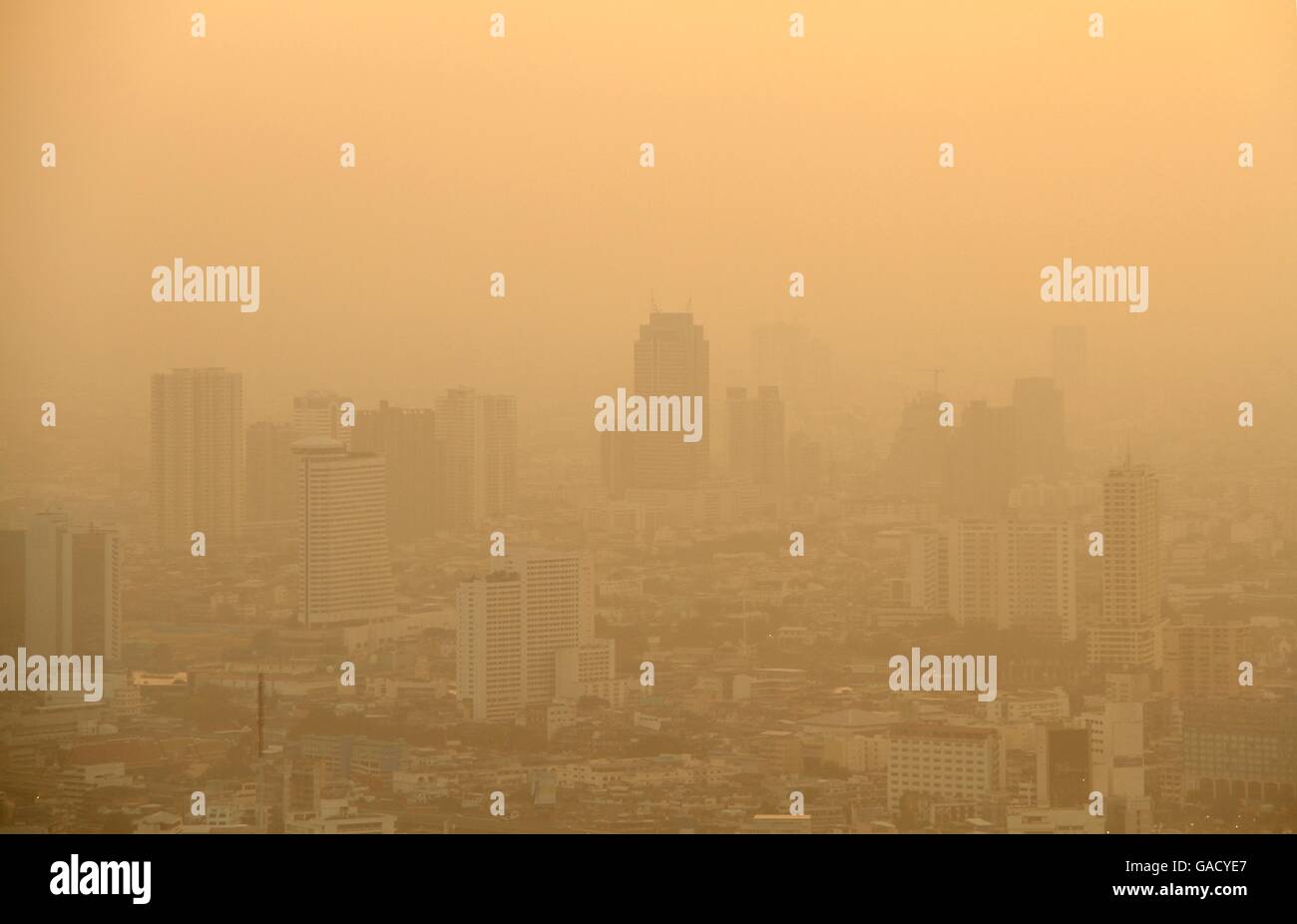 Mist low visibility hi-res stock photography and images - Alamy