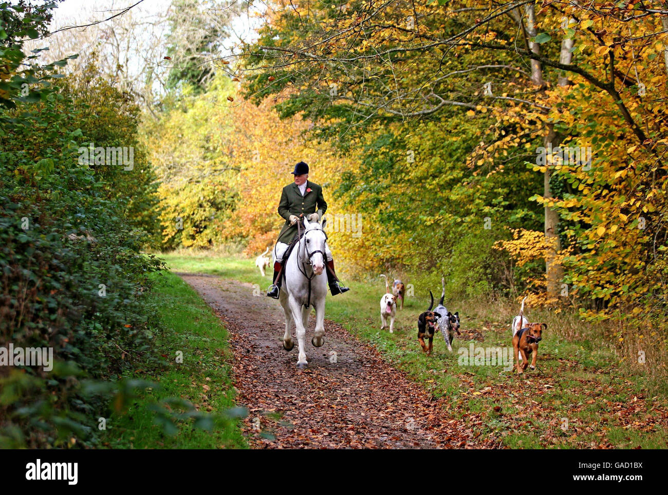 Start of hunting season Stock Photo Alamy