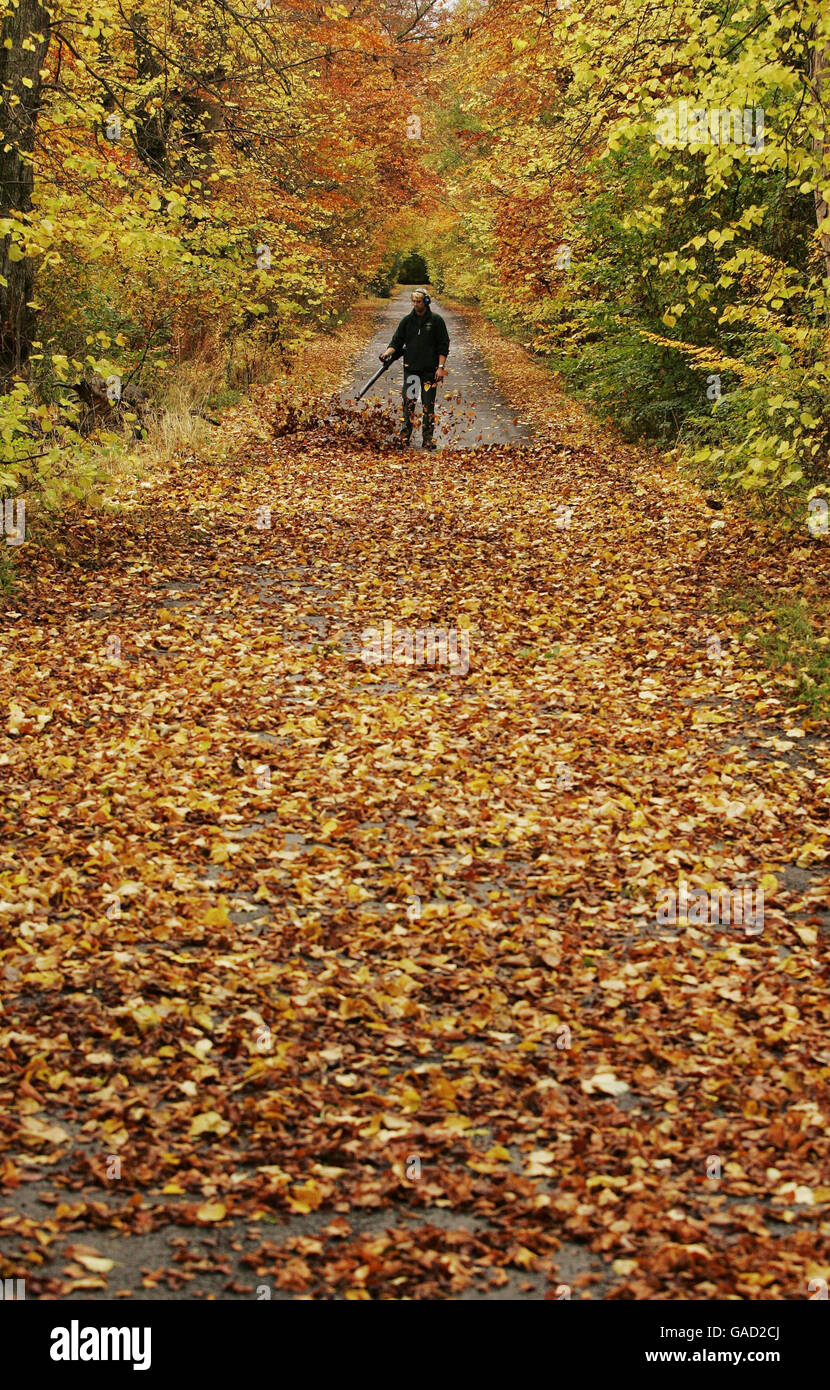 Weather autumn autumncollectionkr autumncollection hi-res stock ...