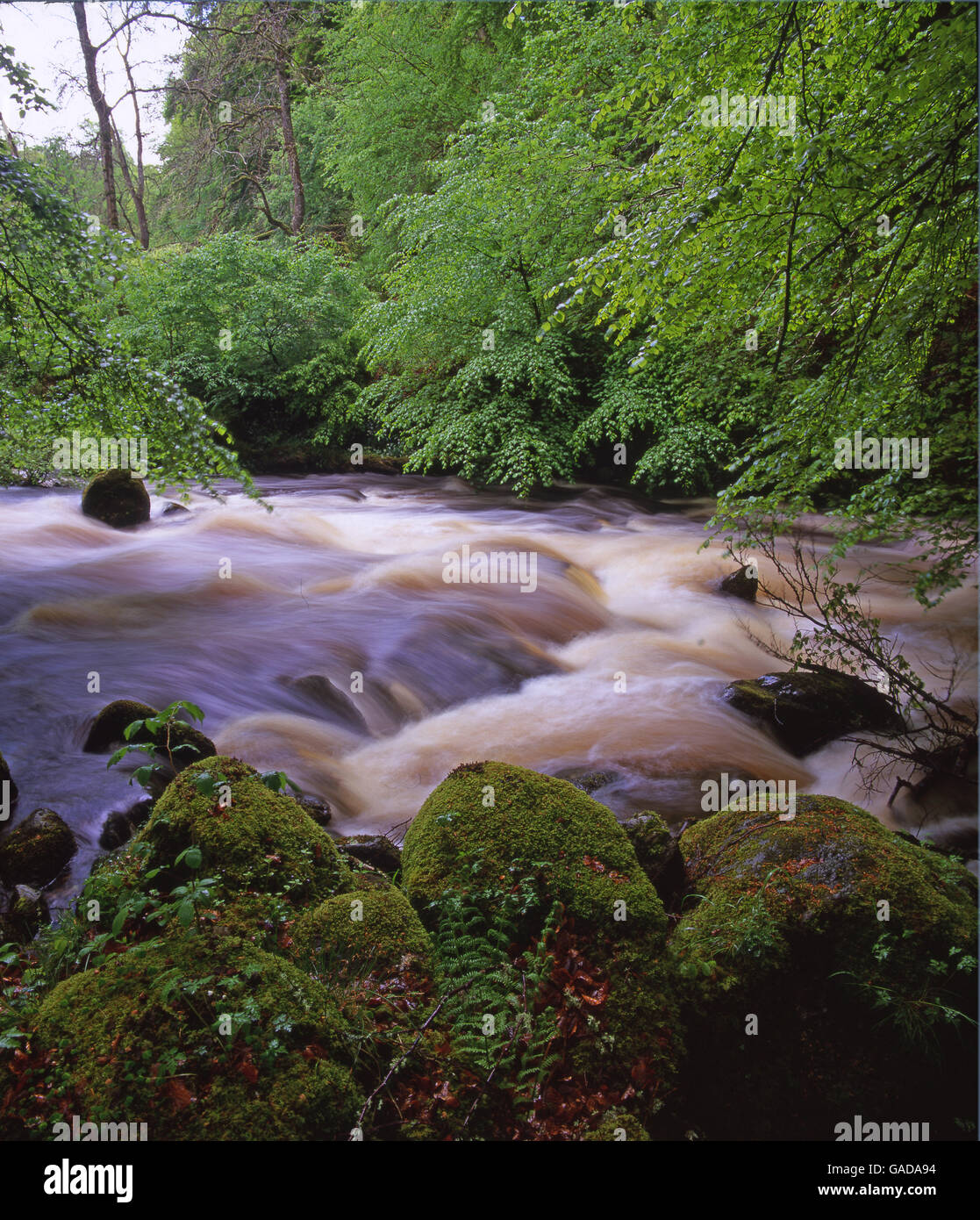 Birks of Aberfeldy, Perthshire, Scotland Stock Photo