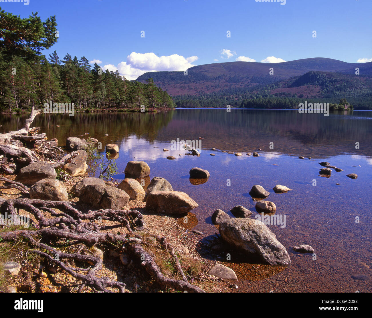 Peaceful summer scene on Loch an Elein, Cairngorms, Scotland Stock Photo